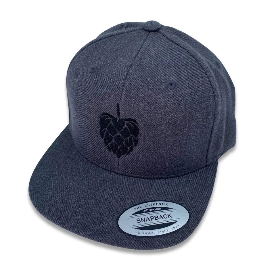 Folkingebrew Snapback Gray caps grå strukturert