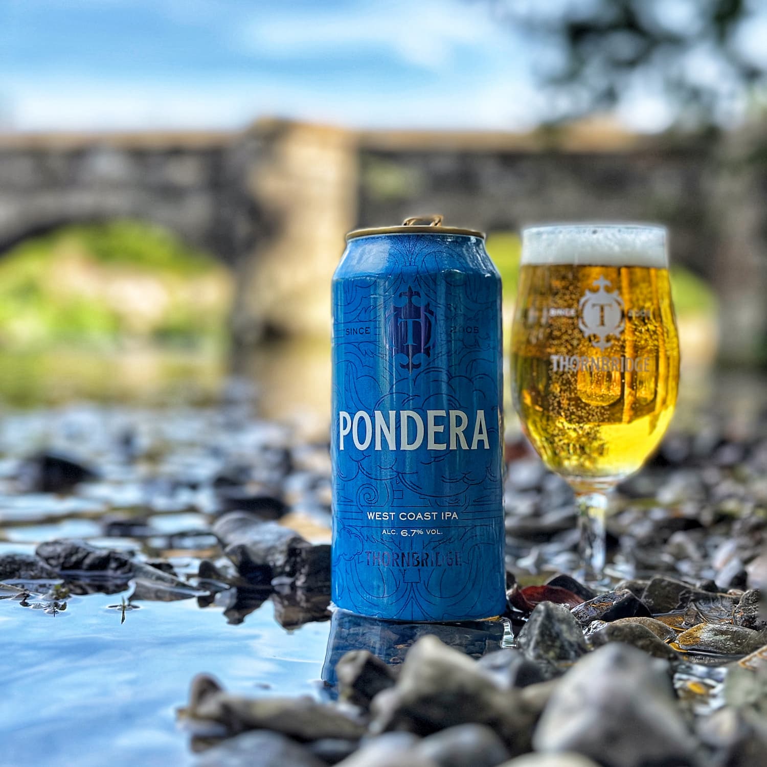 Thornbridge Pondera West Coast IPA øl 440ml mango