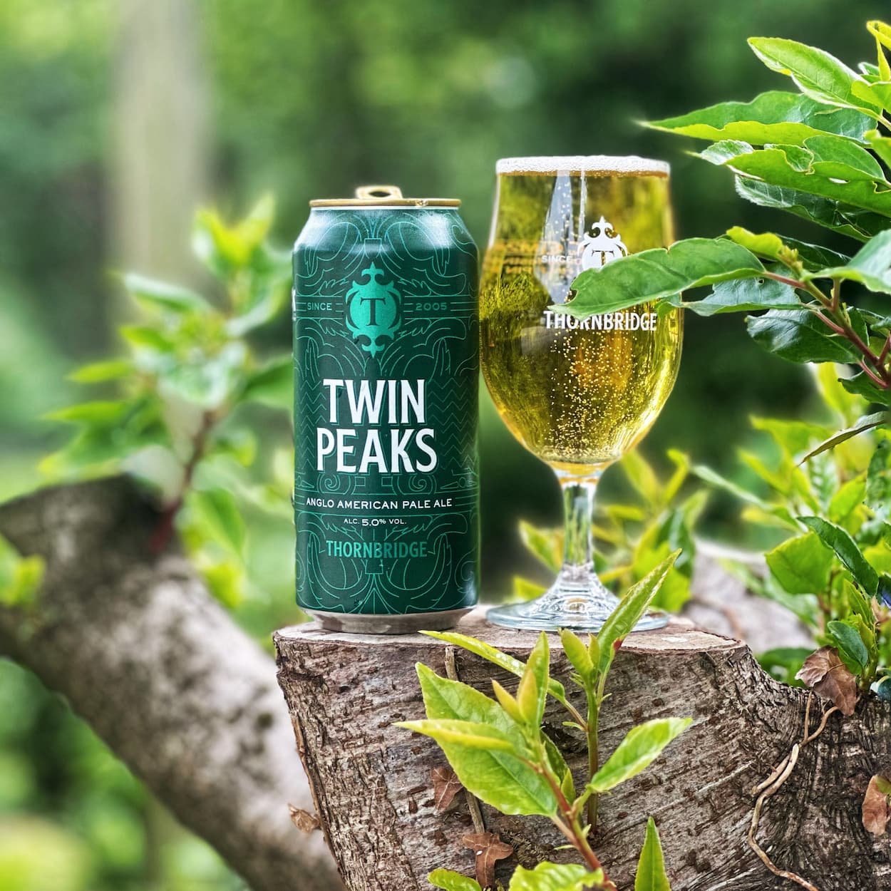 Thornbridge Twin Peaks pale ale boks 440 ml mango