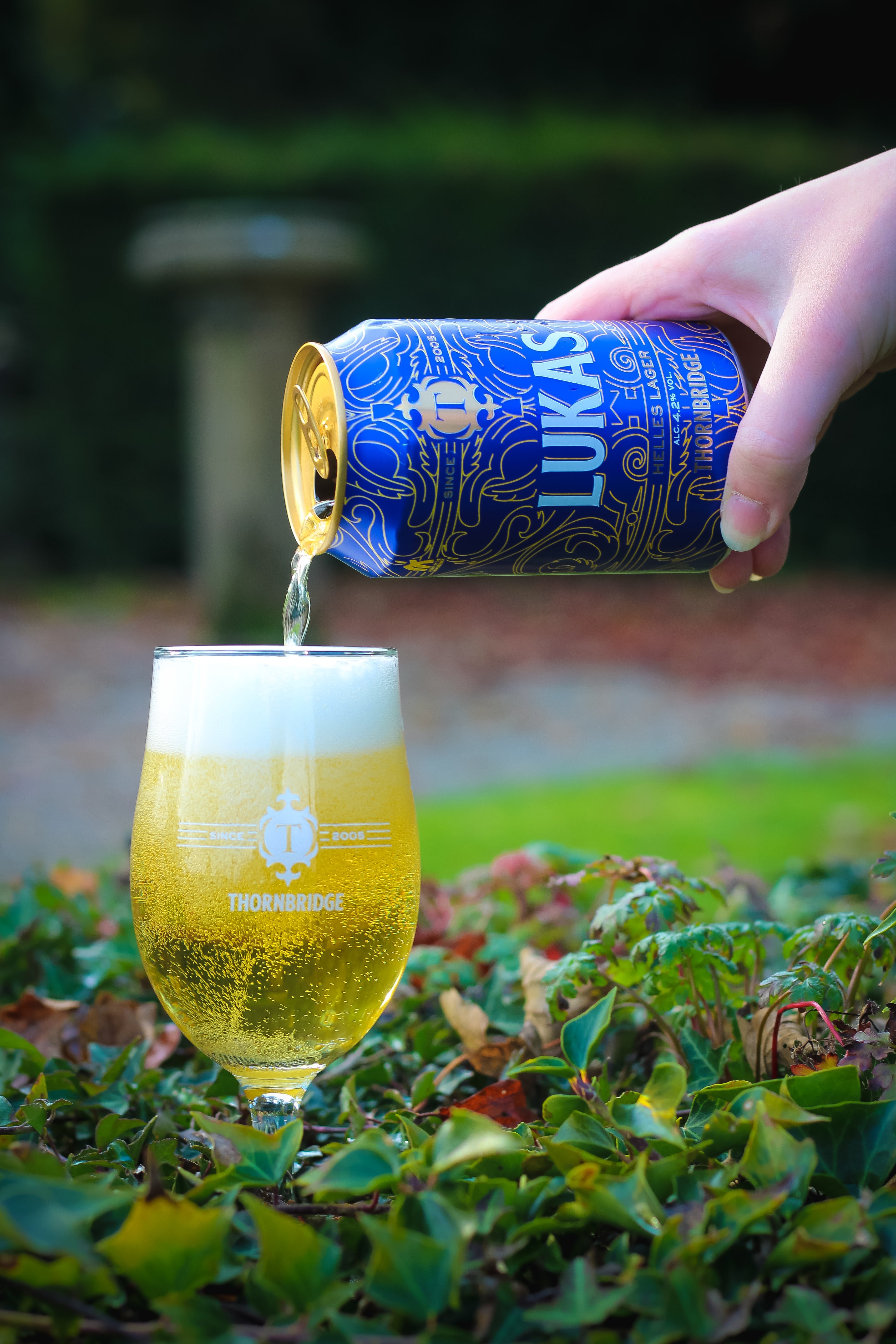 Thornbridge Grand Tour lager kasse 12 boks tysk tsjekkisk
