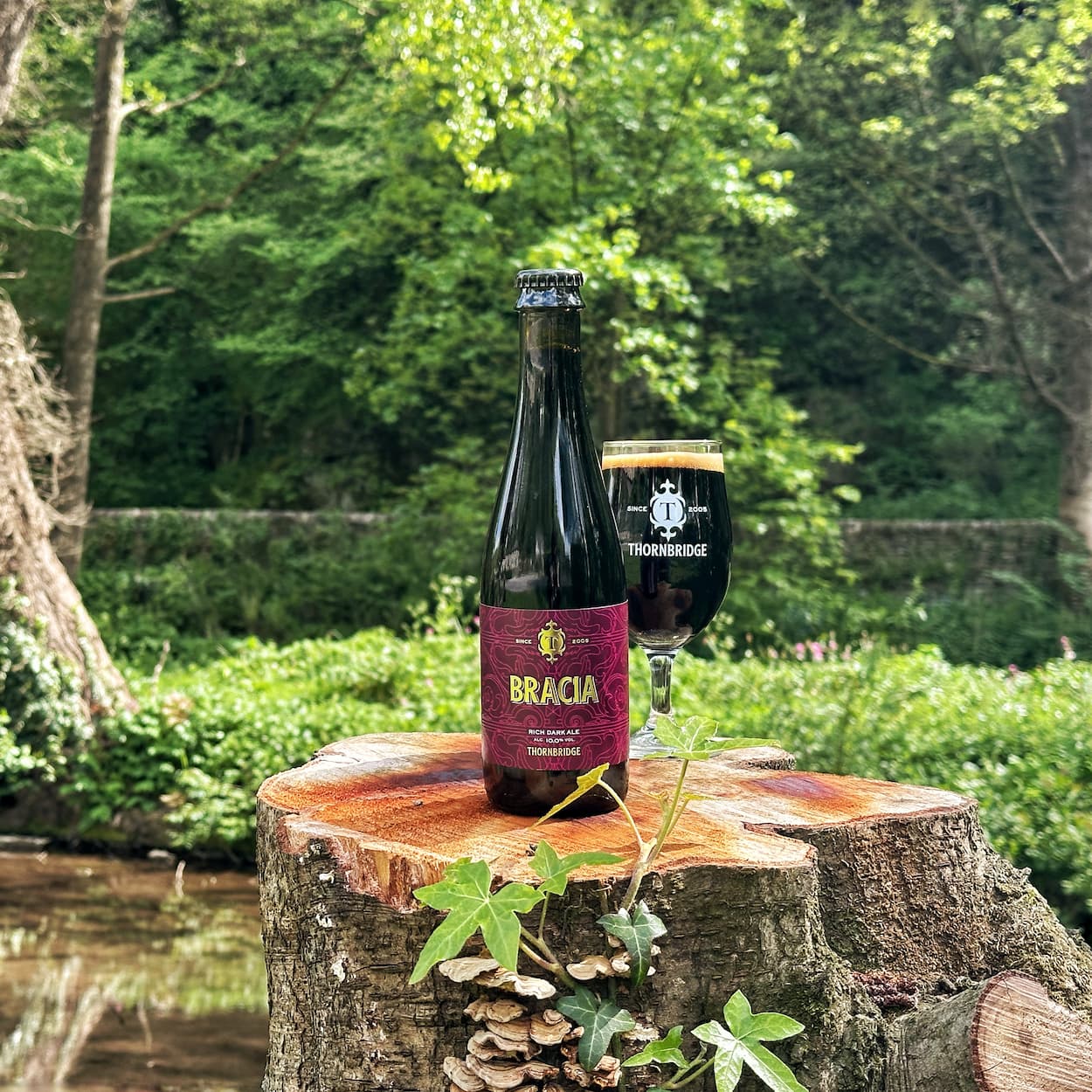 Thornbridge Bracia Dark Ale øl flaske 10% honning