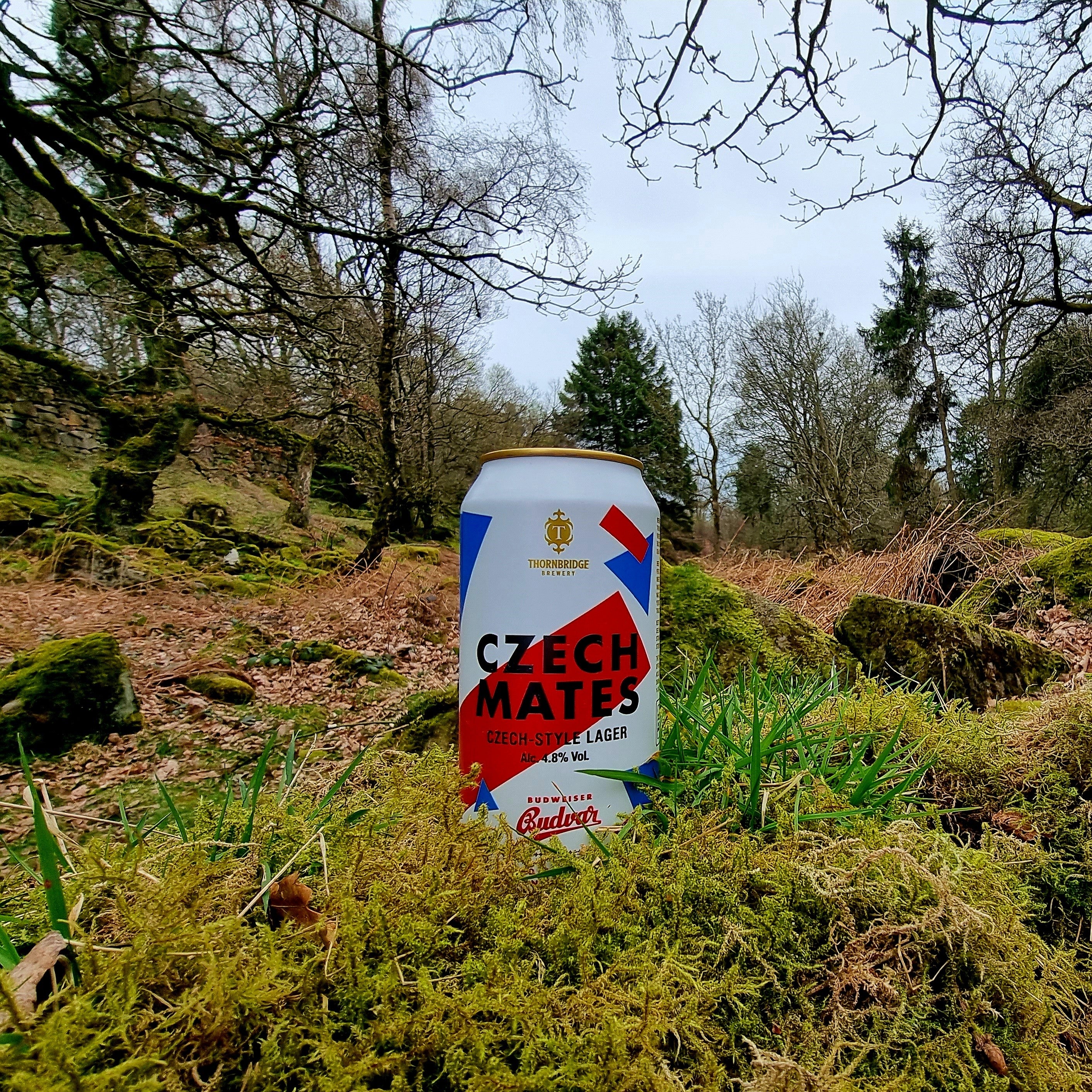 Thornbridge Czech Mates tsjekkisk lager boks 4,8 %