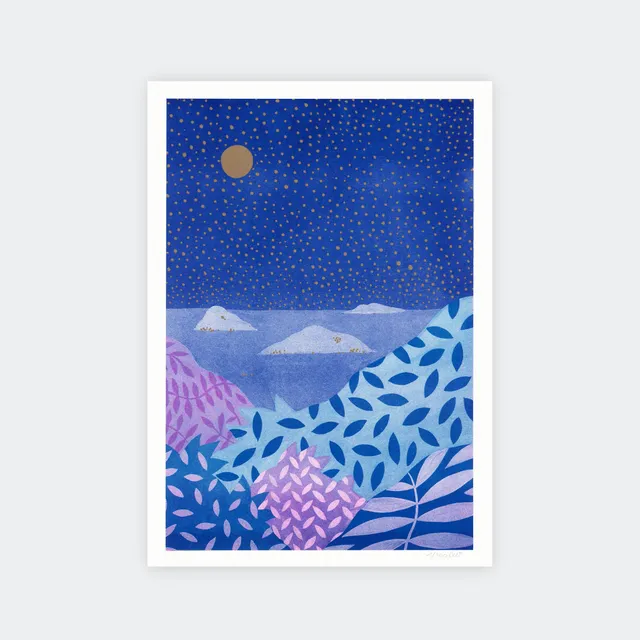 Fauve Nuit Étoilée risografi A4 signert 50 eks usikker