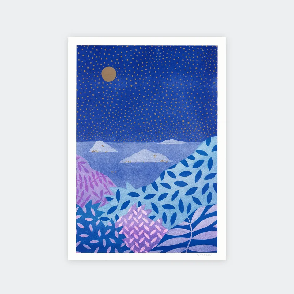 Fauve Nuit Étoilée risografi A4 signert 50 eks usikker