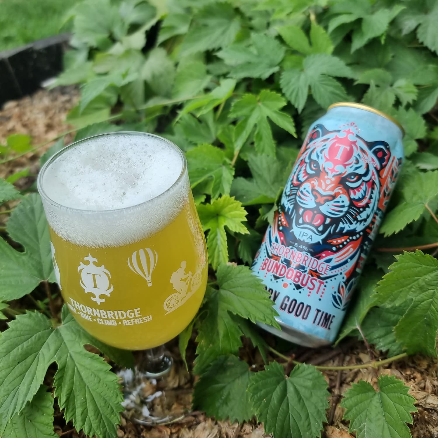Thornbridge Everybody Good Time IPA boks 440ml mango