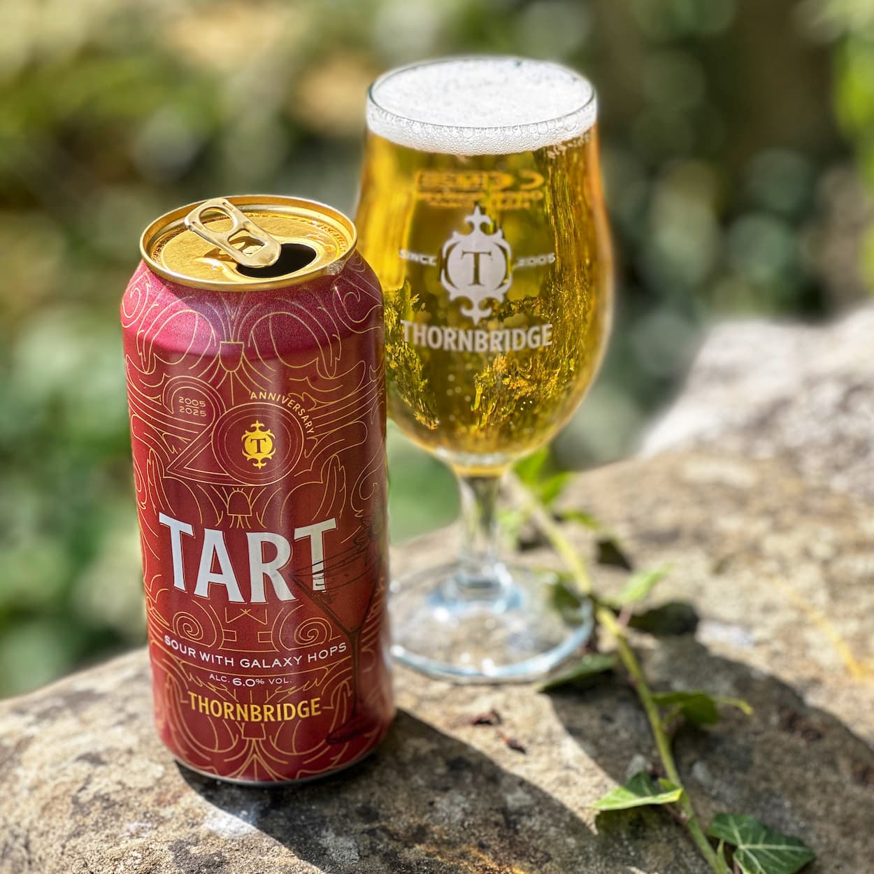 Thornbridge Tart sour øl enkeltboks 6 prosent