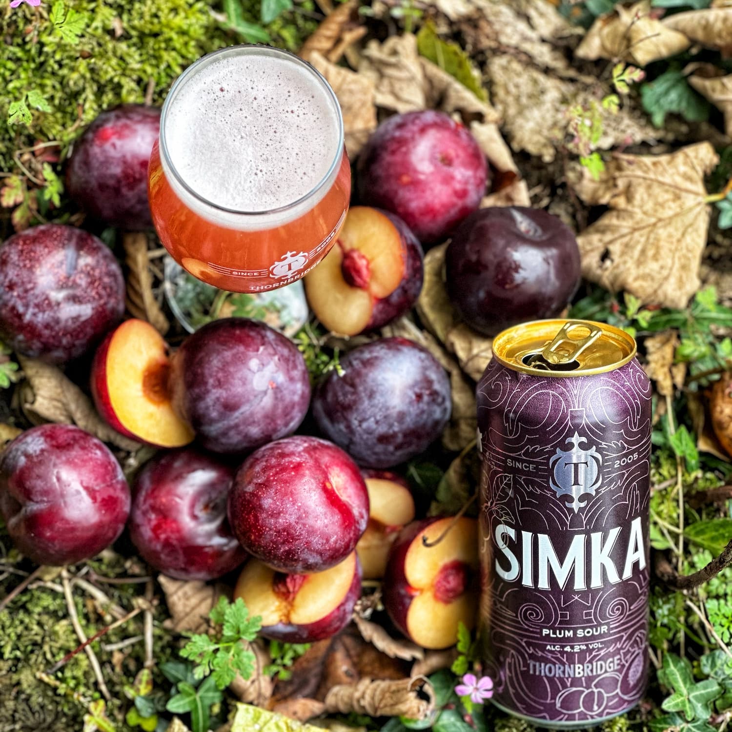 Thornbridge Simka plommesour boks 440ml syrlig