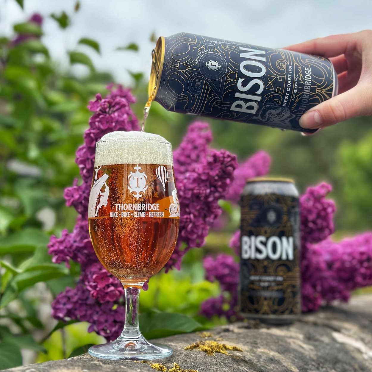 Thornbridge Bison West Coast IPA boks 440ml 6,9%