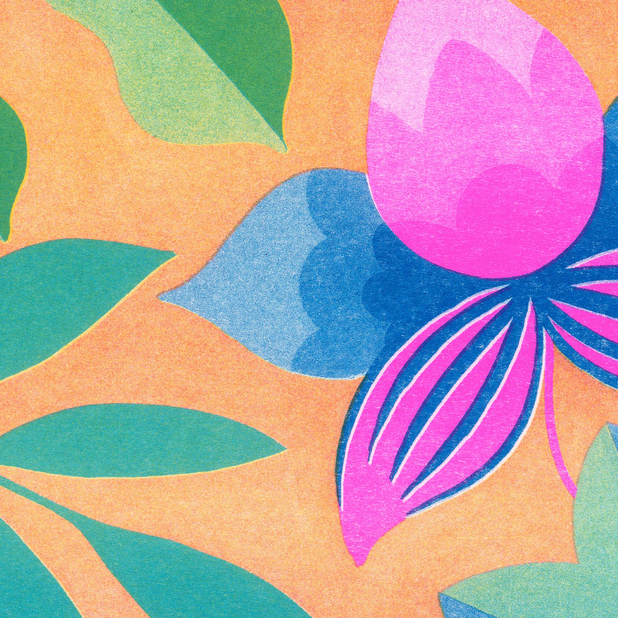 Fauve Orchids risografi A4 signert 50 eks Weinfeld