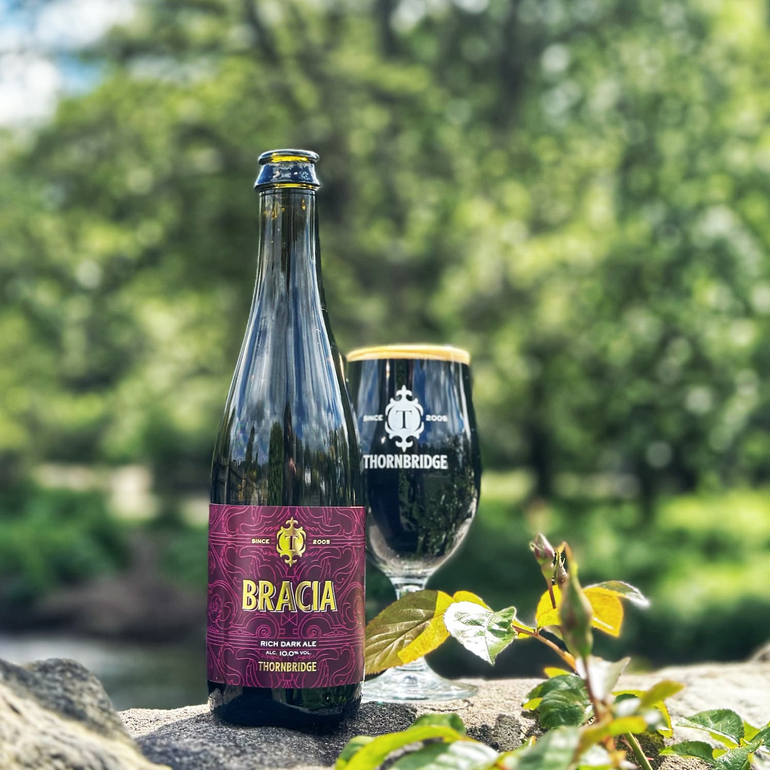 Thornbridge Bracia Dark Ale øl flaske 10% honning