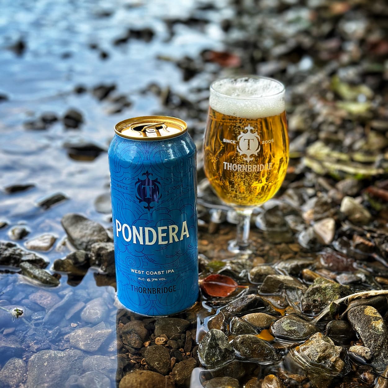 Thornbridge Pondera West Coast IPA øl 440ml mango