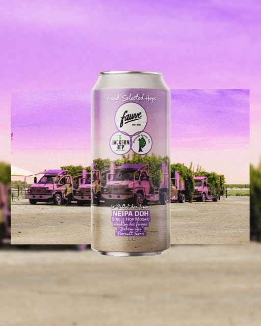 Fauve Le Ballet des Lianes øl boks 44cL mosaic