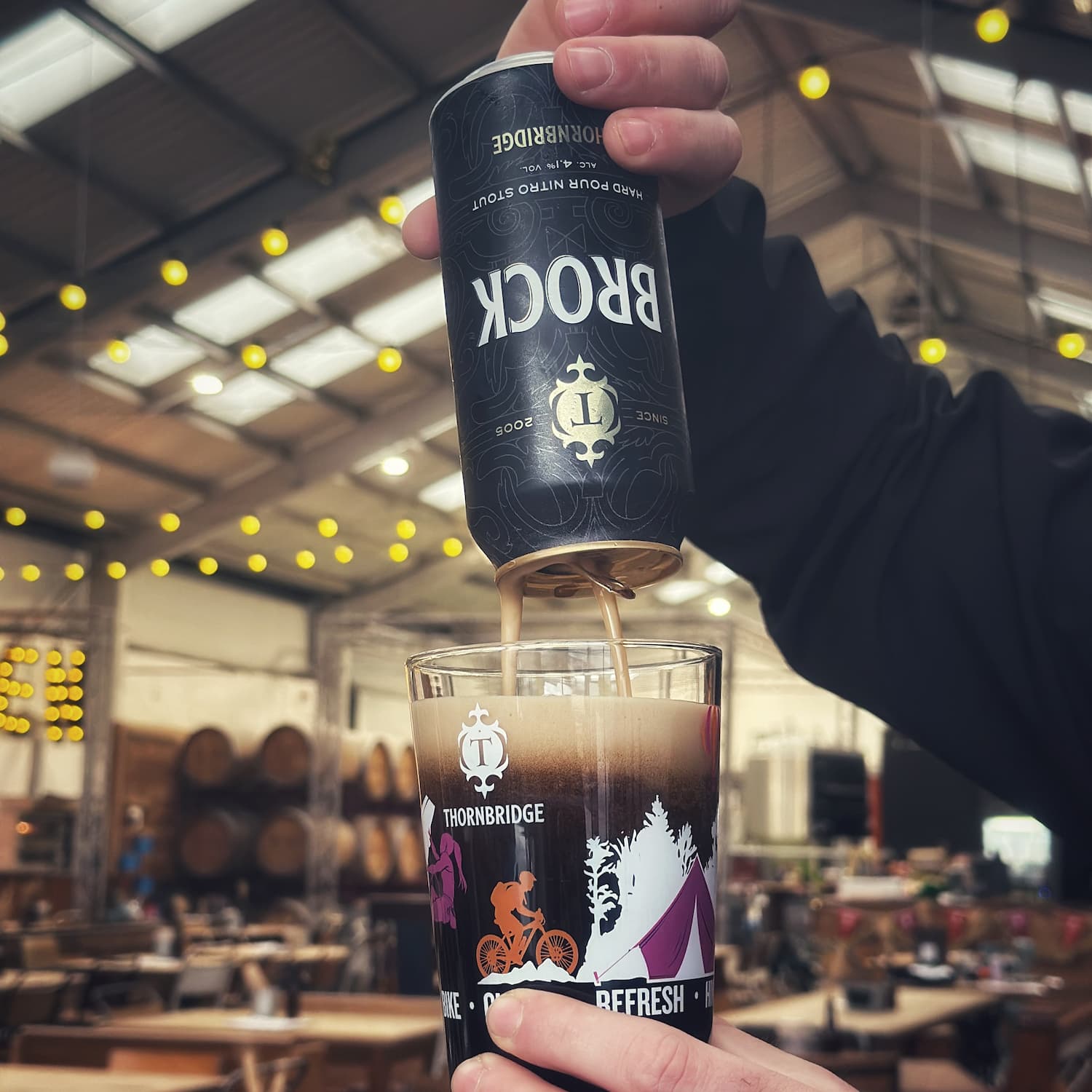 Thornbridge Brock nitro stout boks 4,1% mørk