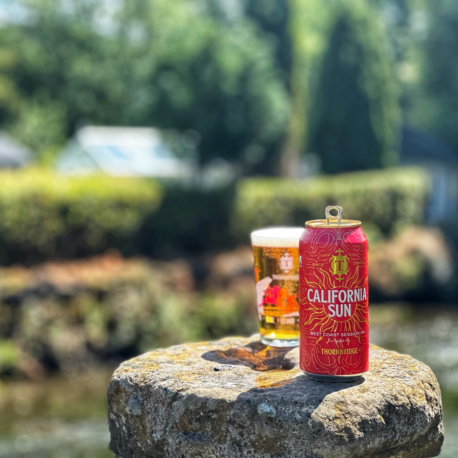 Thornbridge California Sun Session IPA øl 440 ml boks 4,5% furu