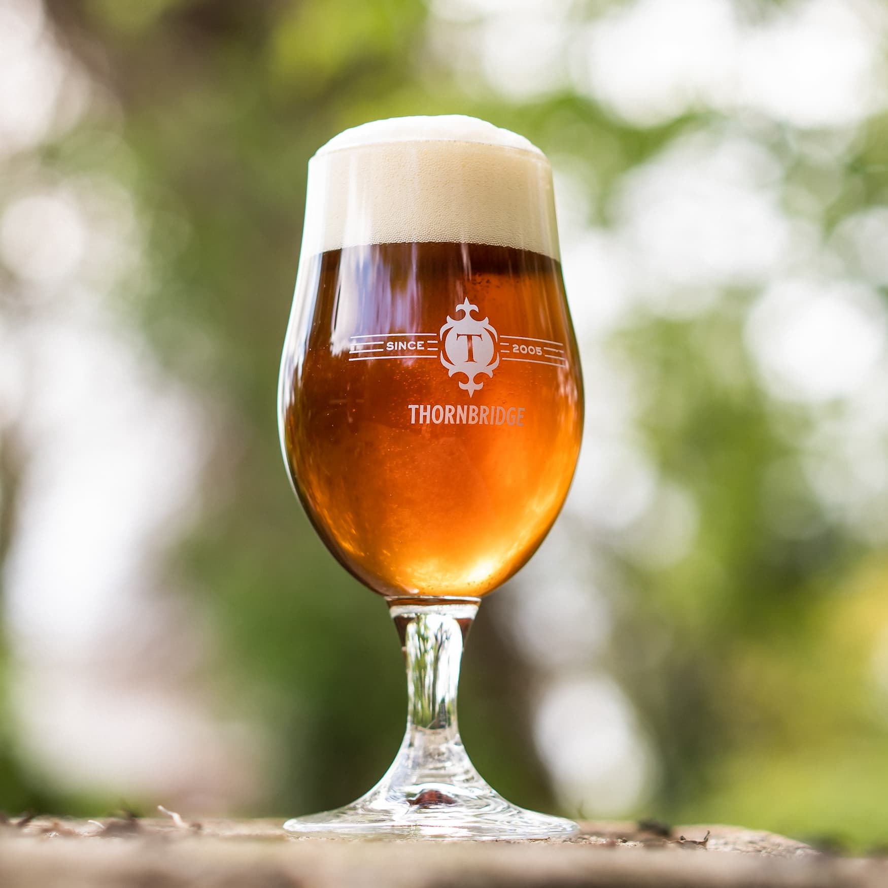 Thornbridge Lord Marples bitter øl flaske 500ml 4% klassisk