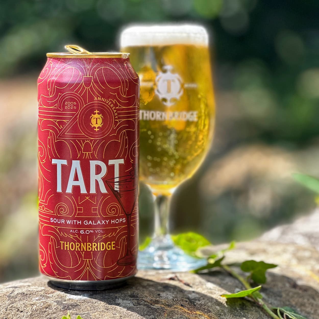 Thornbridge Tart sour øl enkeltboks 6 prosent