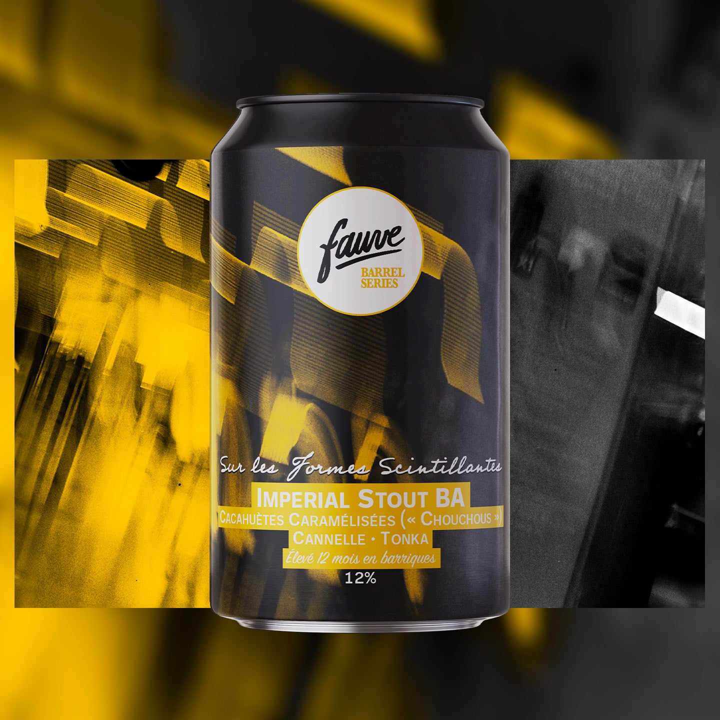 Fauve Sur les Formes Scintillantes imperial stout boks 33 cl fatpreget
