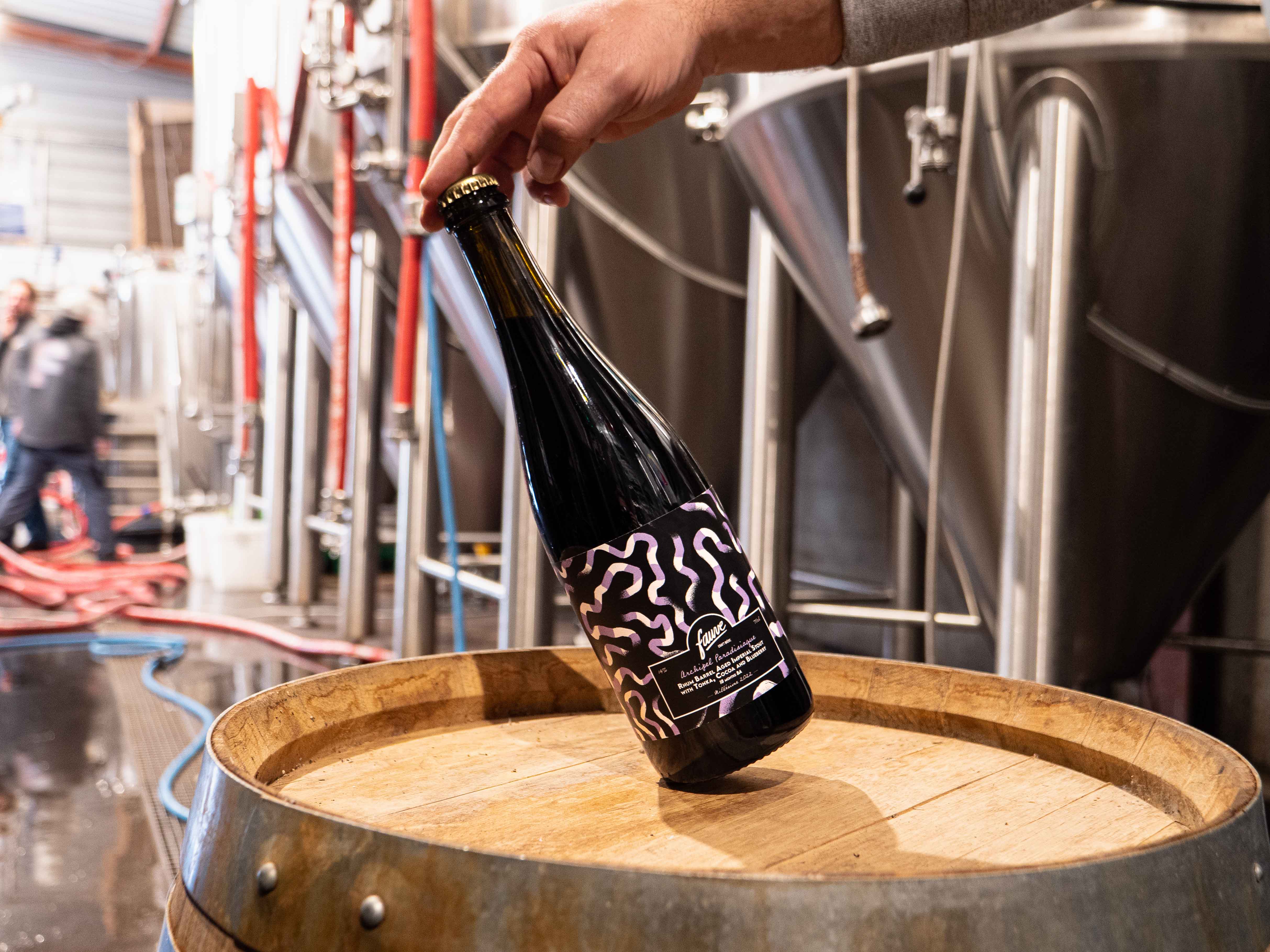 Fauve Archipel Paradisiaque imperial stout 37,5 cl fat