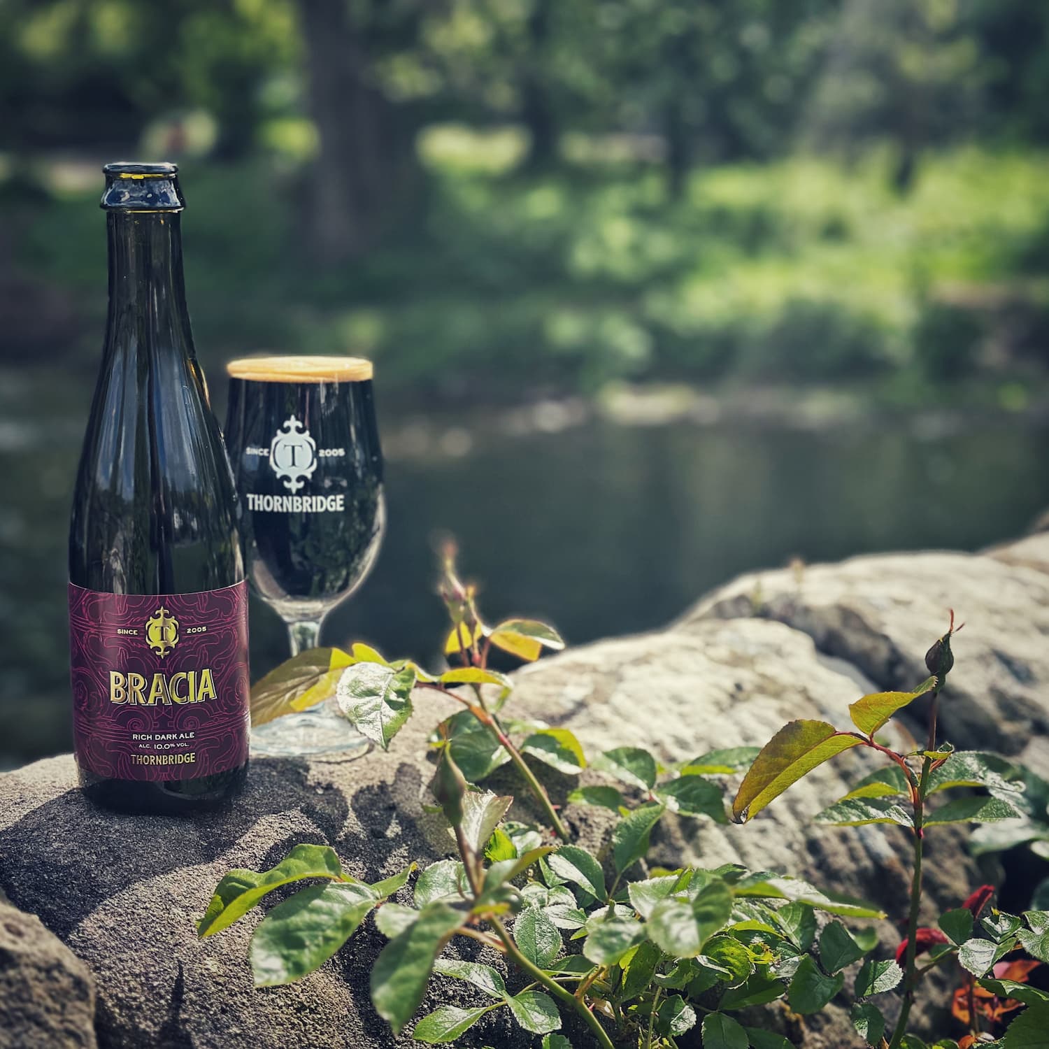 Thornbridge Bracia Dark Ale øl flaske 10% honning