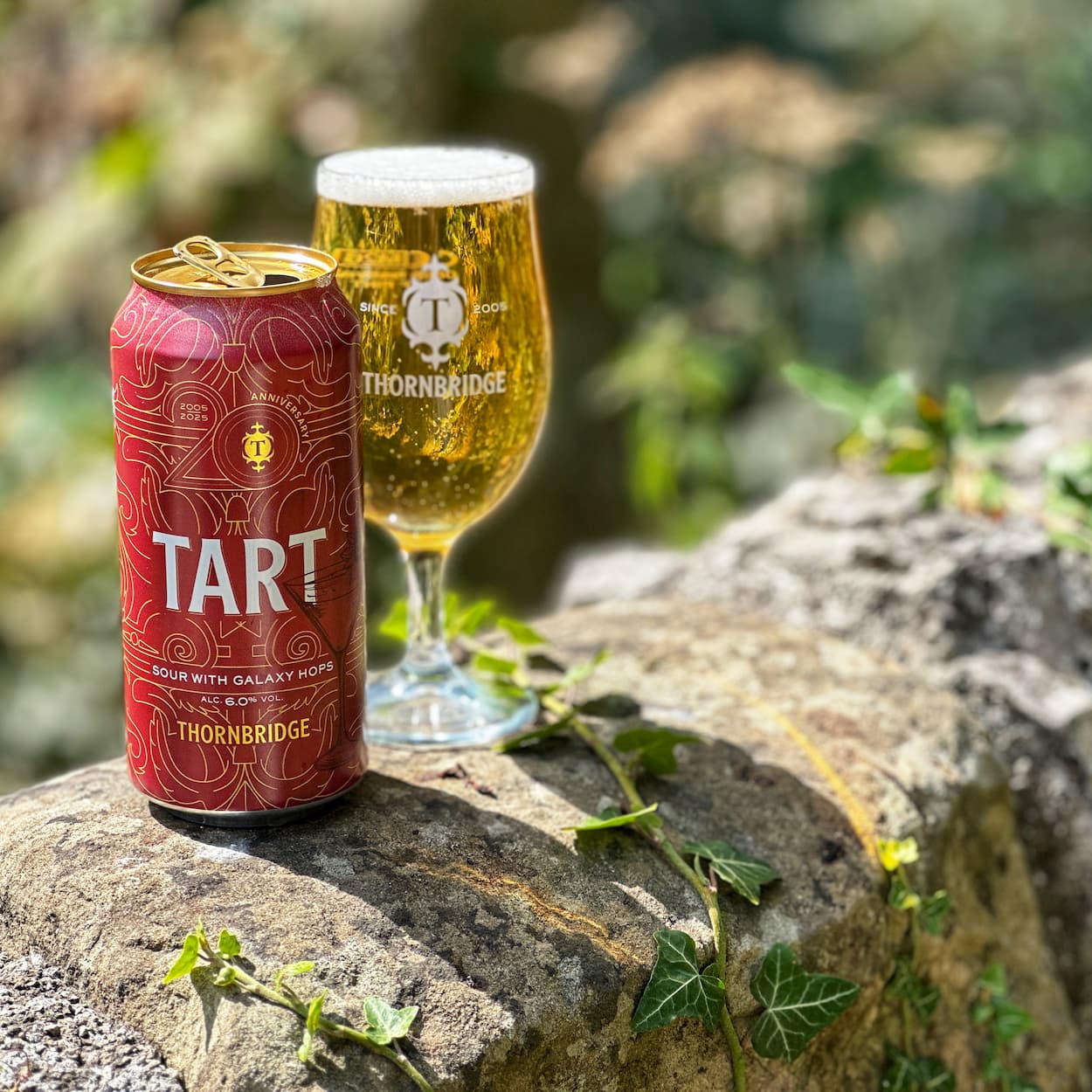Thornbridge Tart sour øl enkeltboks 6 prosent