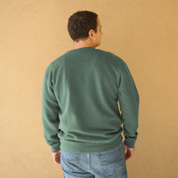Sierra Nevada Pale Ale Vintage genser crewneck