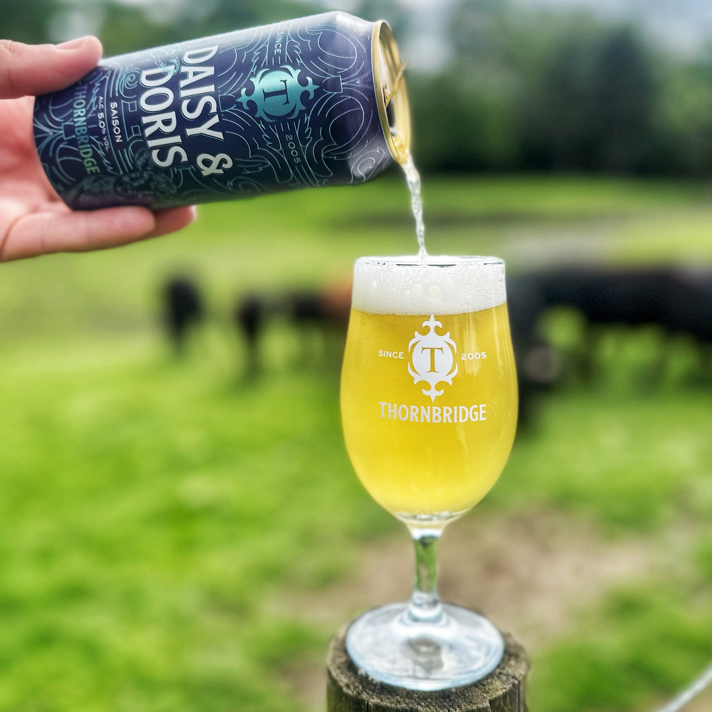 Thornbridge Daisy & Doris Saison øl 440 ml 5 prosent boks