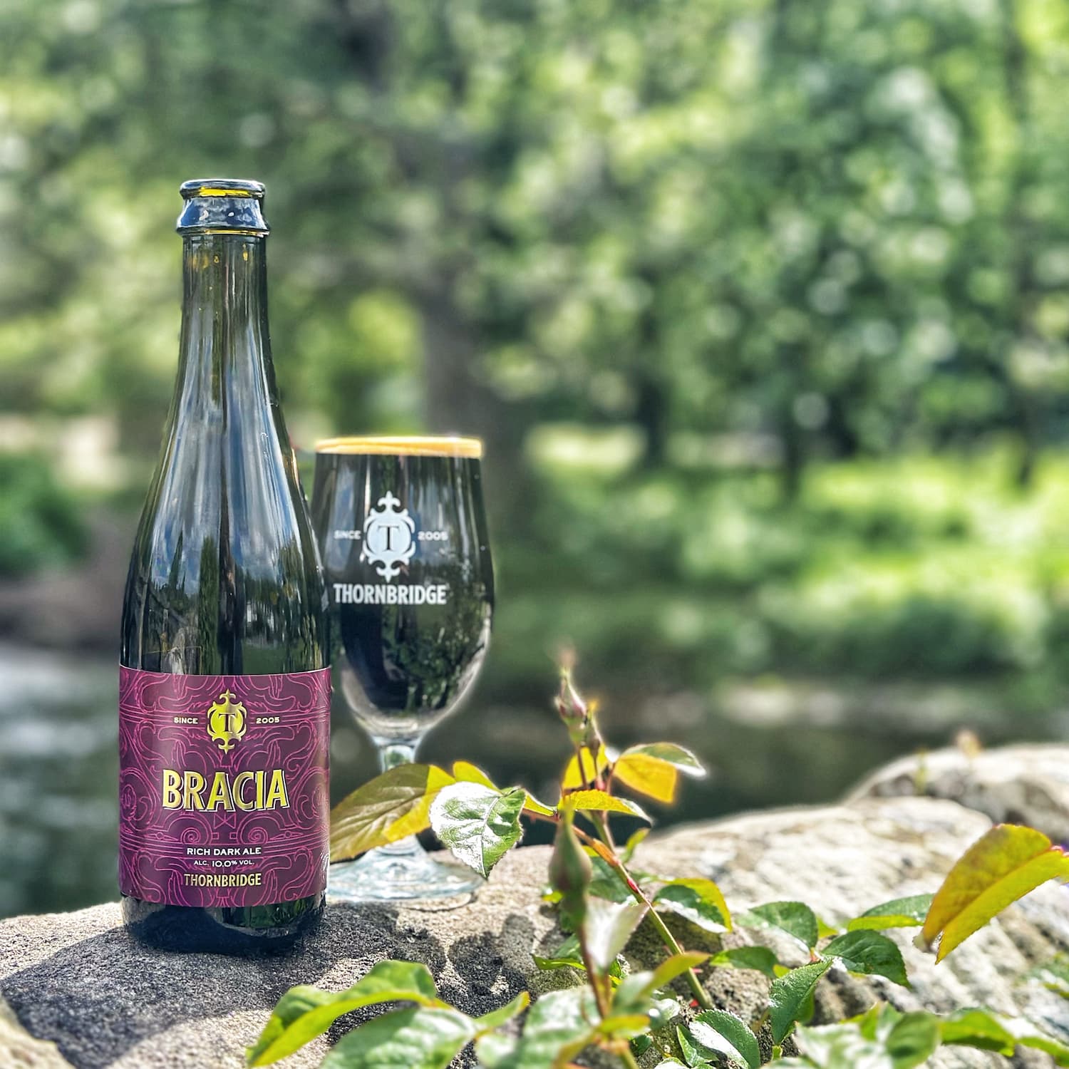 Thornbridge Bracia Dark Ale øl flaske 10% honning