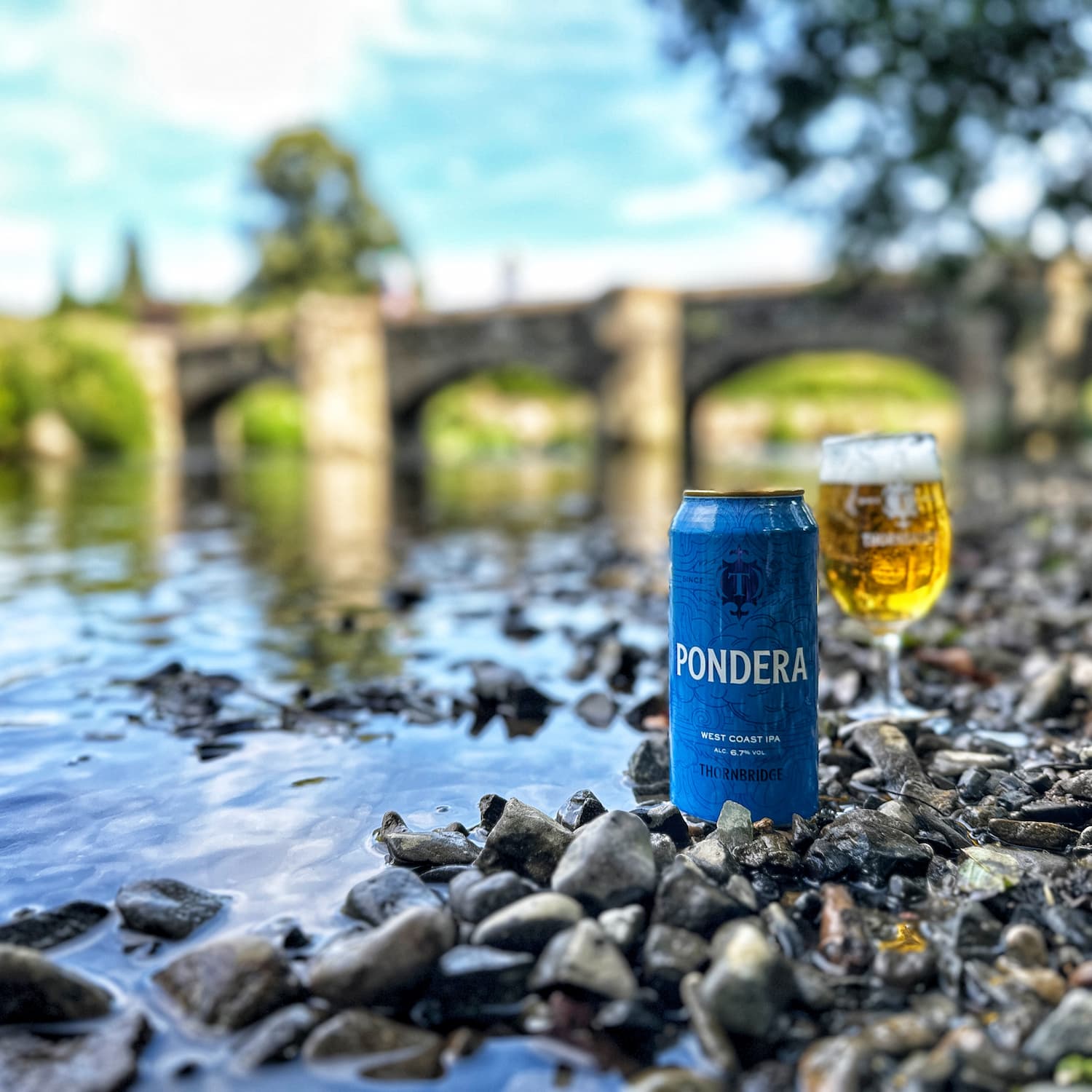 Thornbridge Pondera West Coast IPA øl 440ml mango