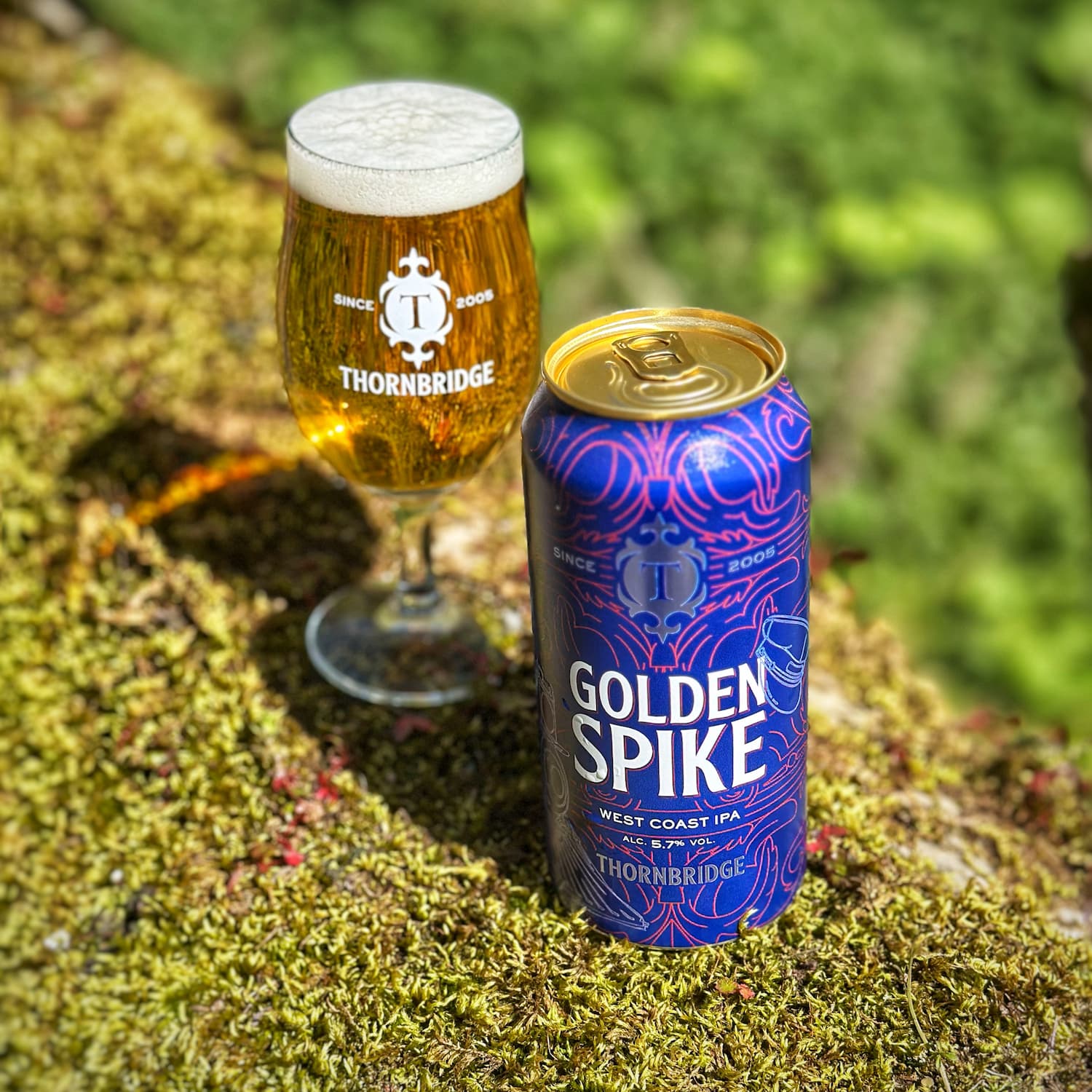 Thornbridge Golden Spike West Coast IPA boks 440ml 5,7%