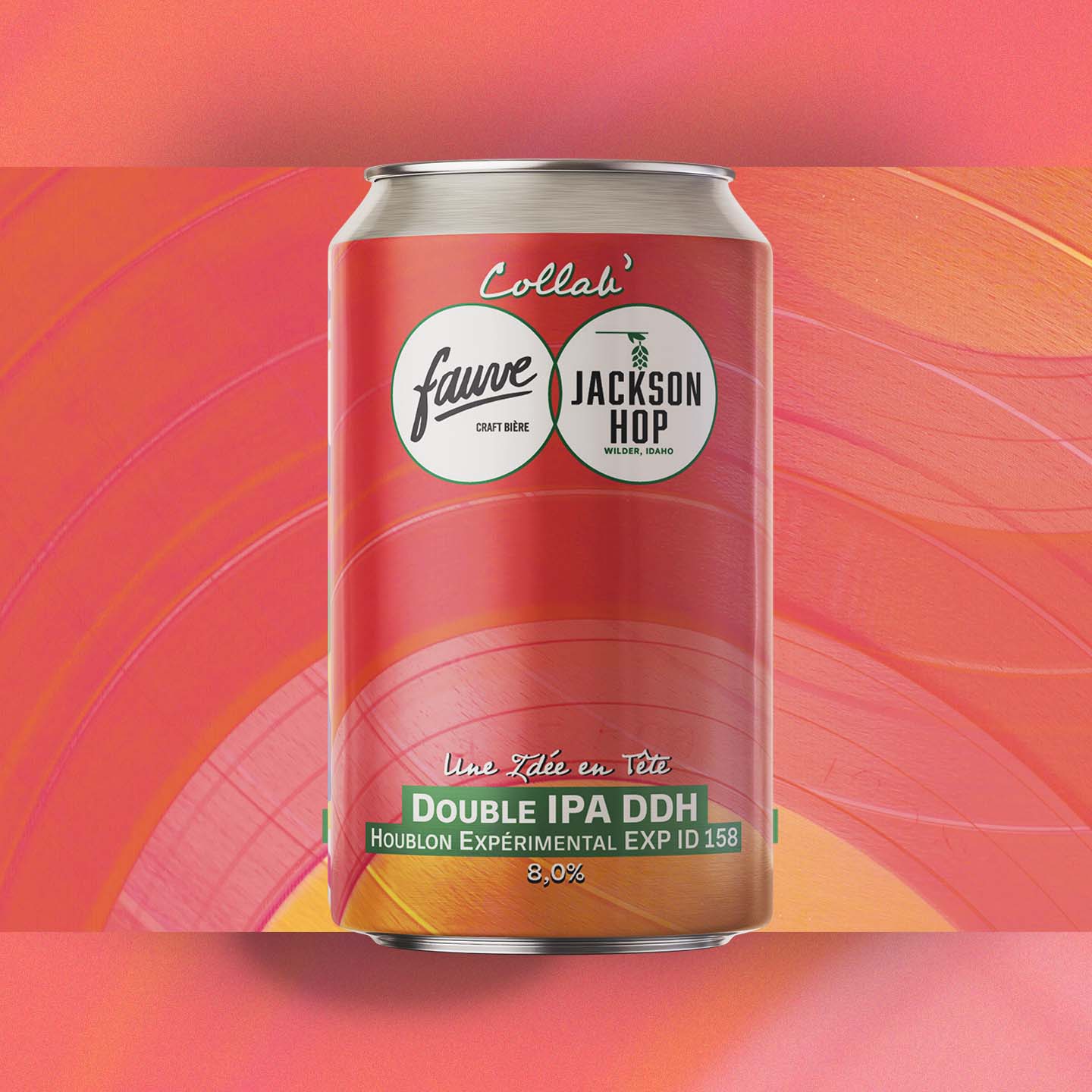 Fauve Une Idée en Tête DIPA øl 33 cl EXP ID 158
