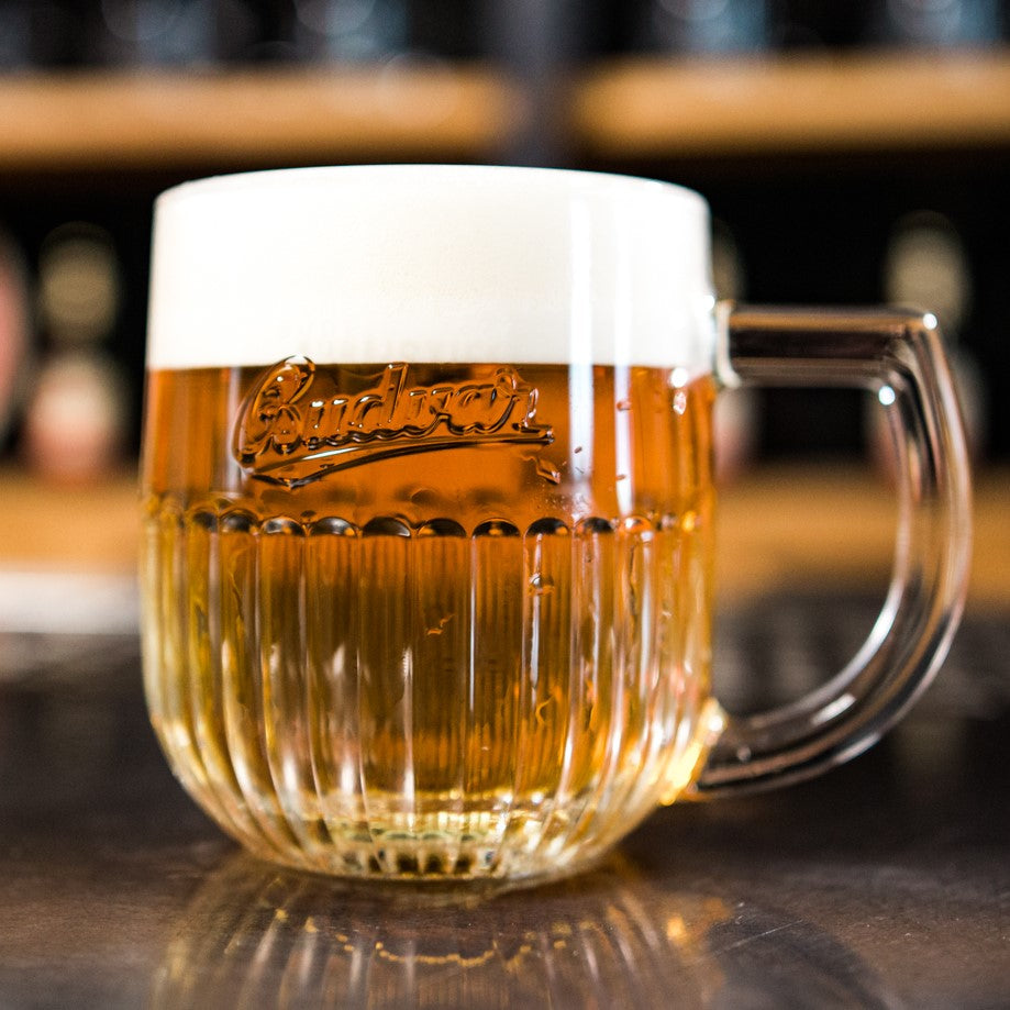 Thornbridge Czech Mates tsjekkisk lager boks 4,8 %