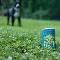 Sierra Nevada Hazy Little Thing hundeleke boks plysj