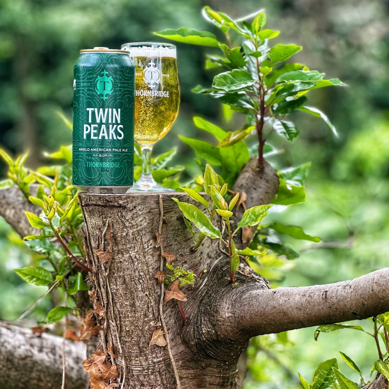 Thornbridge Twin Peaks pale ale boks 440 ml mango