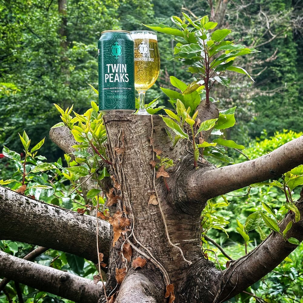 Thornbridge Twin Peaks pale ale boks 440 ml mango