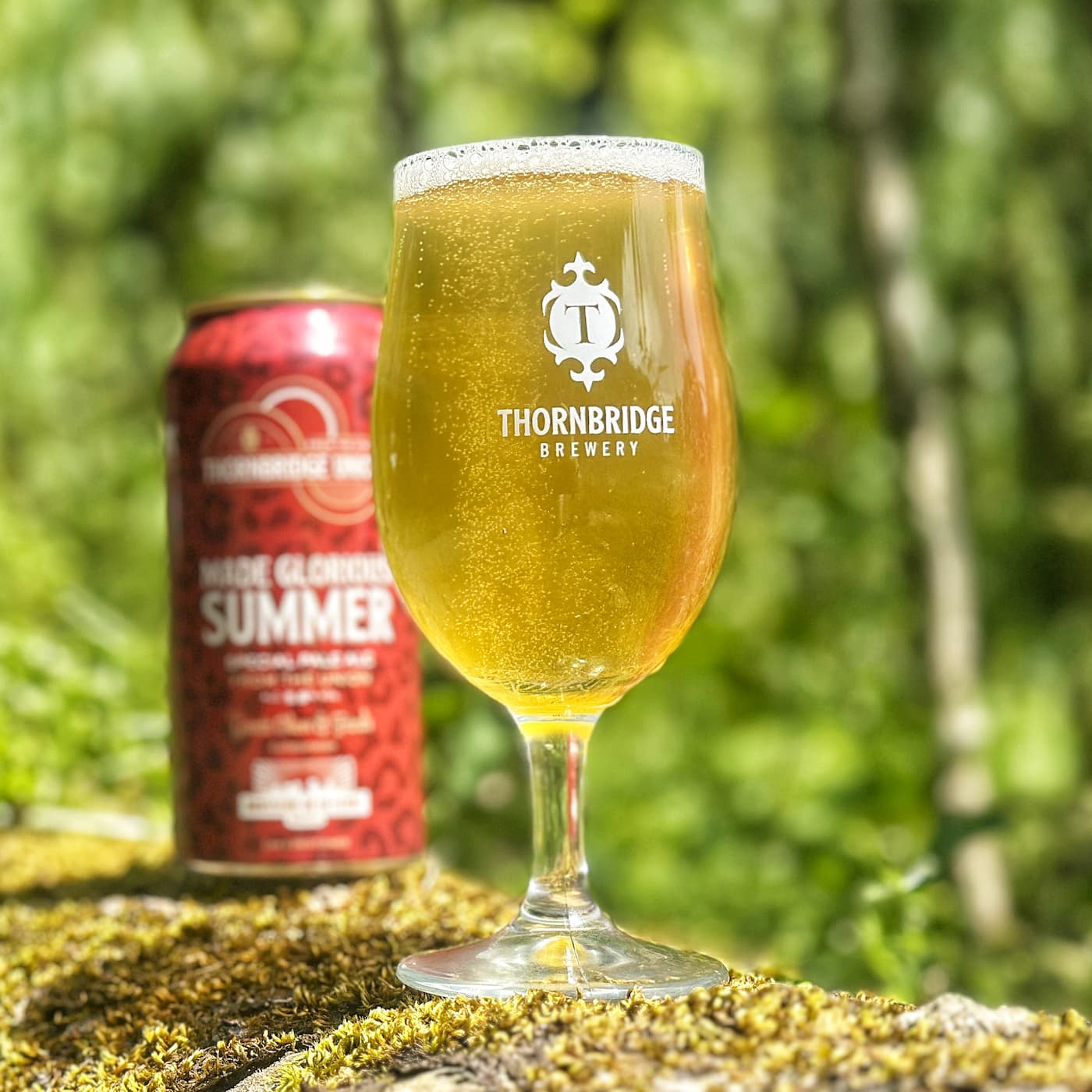 Thornbridge Union Made Glorious Summer pale ale 5,8% boks