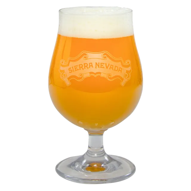 Sierra Nevada Luettich Balloon ølglass stett 10 oz